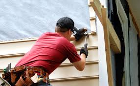 Best Vinyl Siding Installation  in Des C, AR